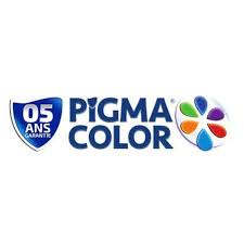 pigma2